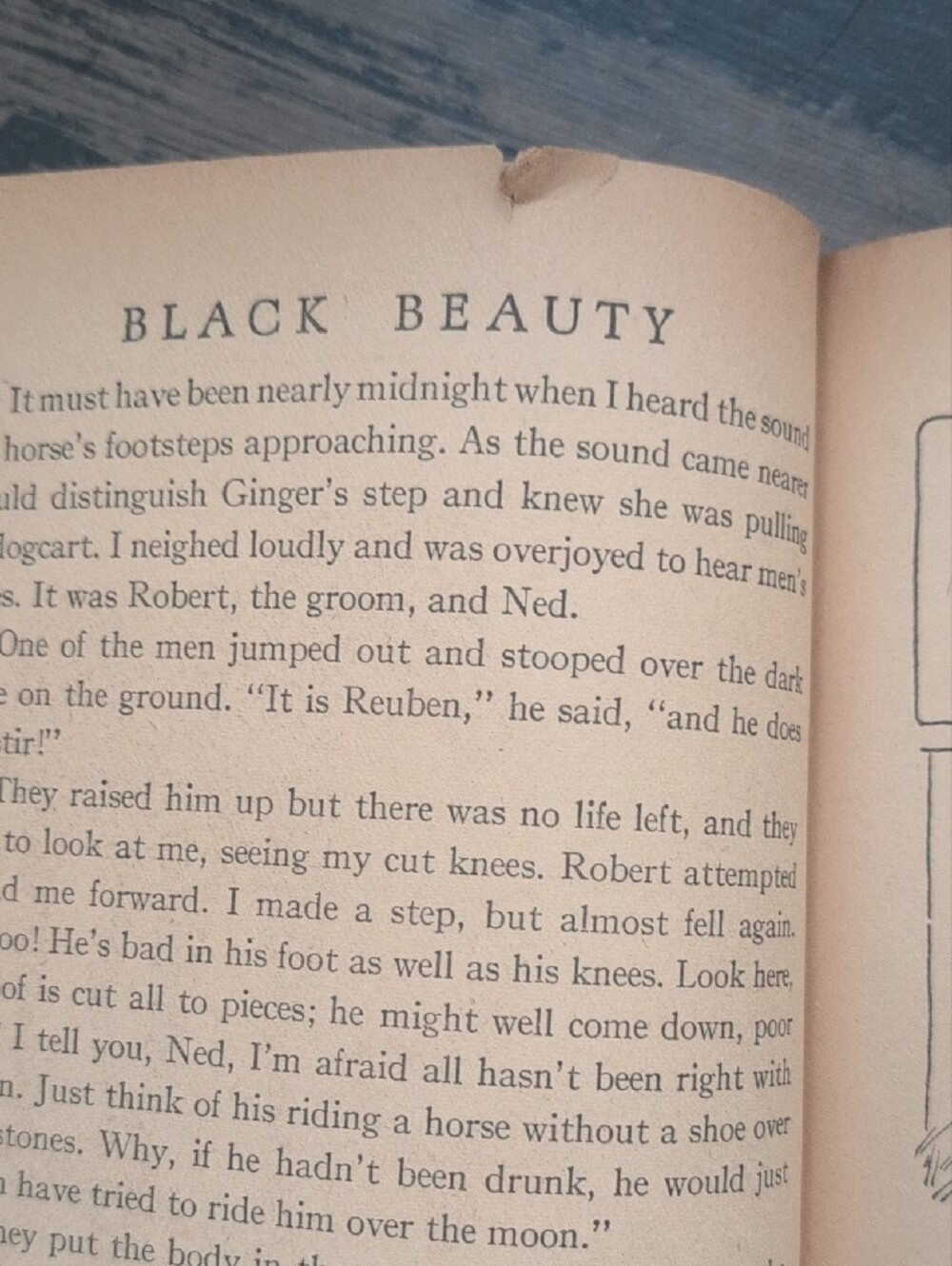 Black Beauty 1920's Vintage Antique Children Book Retro Cover Illustration Rare - Picture 7 of 14